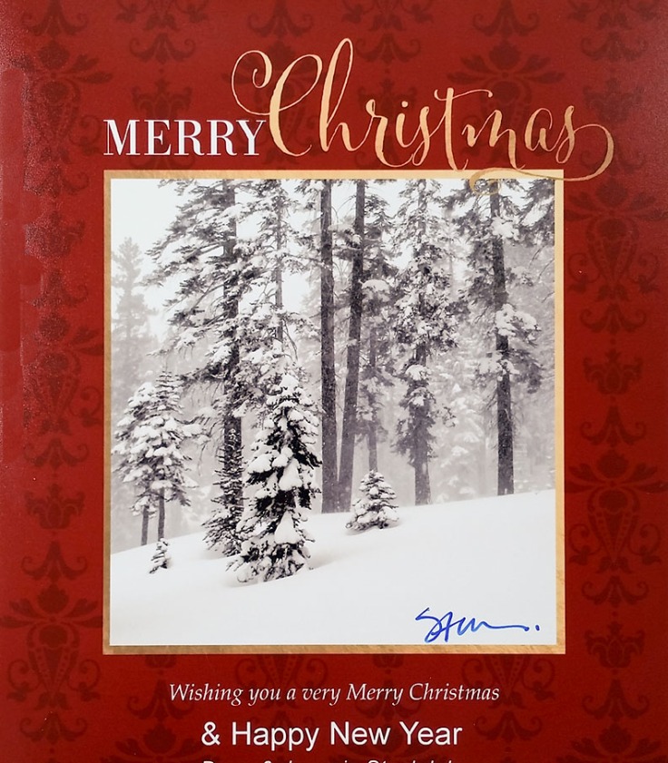 Merry_Christmas_n_Happy_New_Year_card_2017